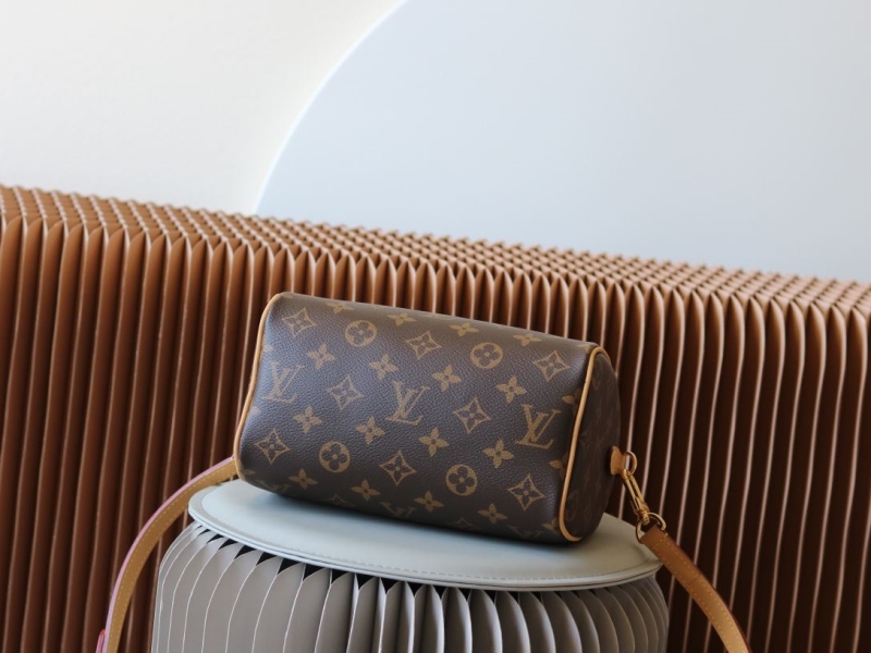 LV Speedy Bags